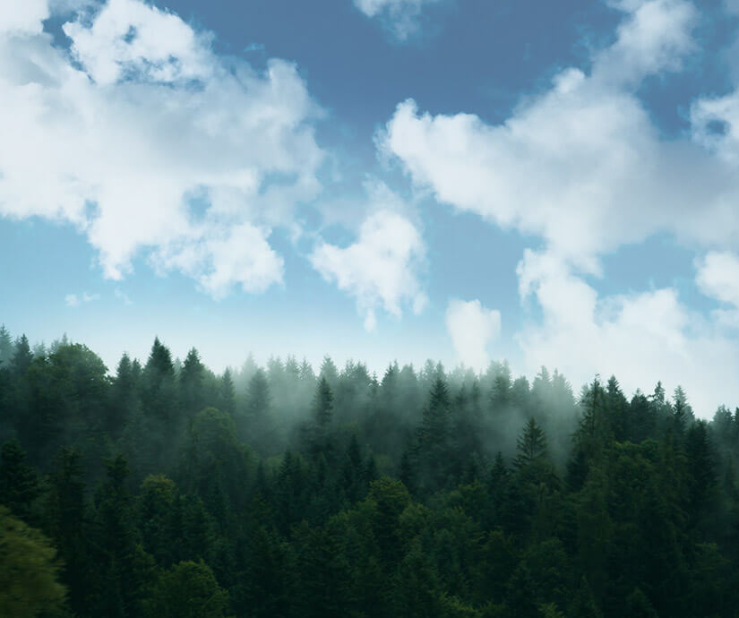 simco-produits-chimique-developpement-durable